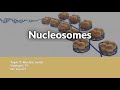 Histone Modifications and Nucleosome Structure