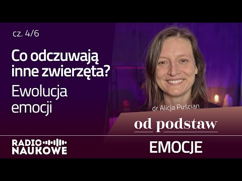 Co czują zwierzęta? Ewolucja emocji | OD PODSTAW: Emocje | 4/6 | dr Alicja Puścian