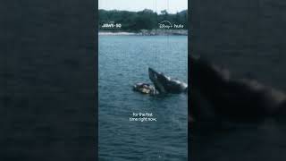 The story of Jaws thrilled Steven Spielberg long before the cameras rolled.