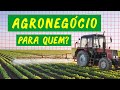 Agribusiness in Brazil: An Overview