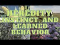 Learned and Instinctive Behaviors