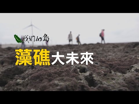 我們的島 第919集 藻礁大未來 (2017-08-14) - YouTube(22分03秒)