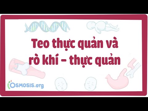 Teo thực quản và rò khí – thực quản