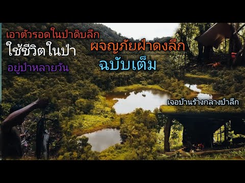 ผจญภัยฝ่าดงลึก ค้นหาบ้านร้างกลางป่า ใช้ชีวิตในป่าดิบเขา วิธีการอยู่รอดจากดงมายา.ep.257 ฉบับเต็ม