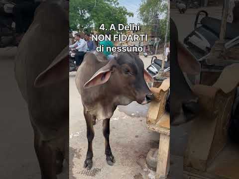 4 cose GRAVI da non fare in INDIA