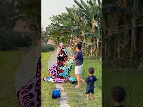 ZAIN TERBANGKAN LAYANGAN IKAN CHANNA WARNA-WARNI!!! TERBESAR #layangan #channa #shorts #bermain