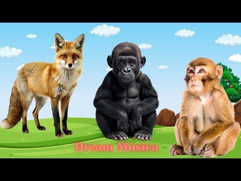 Animal Habitats: Fox, Gorilla, Monkey, Elephant - Animal Sounds