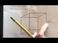 Surface Area and Area of Shapes