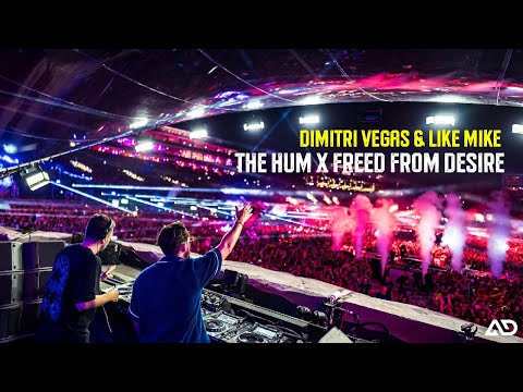 Dimitri Vegas & Like Mike - THE HUM X FREED FROM DESIRE (Tomorrowland 2024)