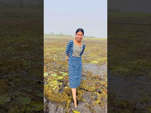 মেয়ে ভিডিও করতিসে আর বাবা খেটে মোরে যাচ্ছে😢 #viralvideo #funny #village #youtubeshorts #short