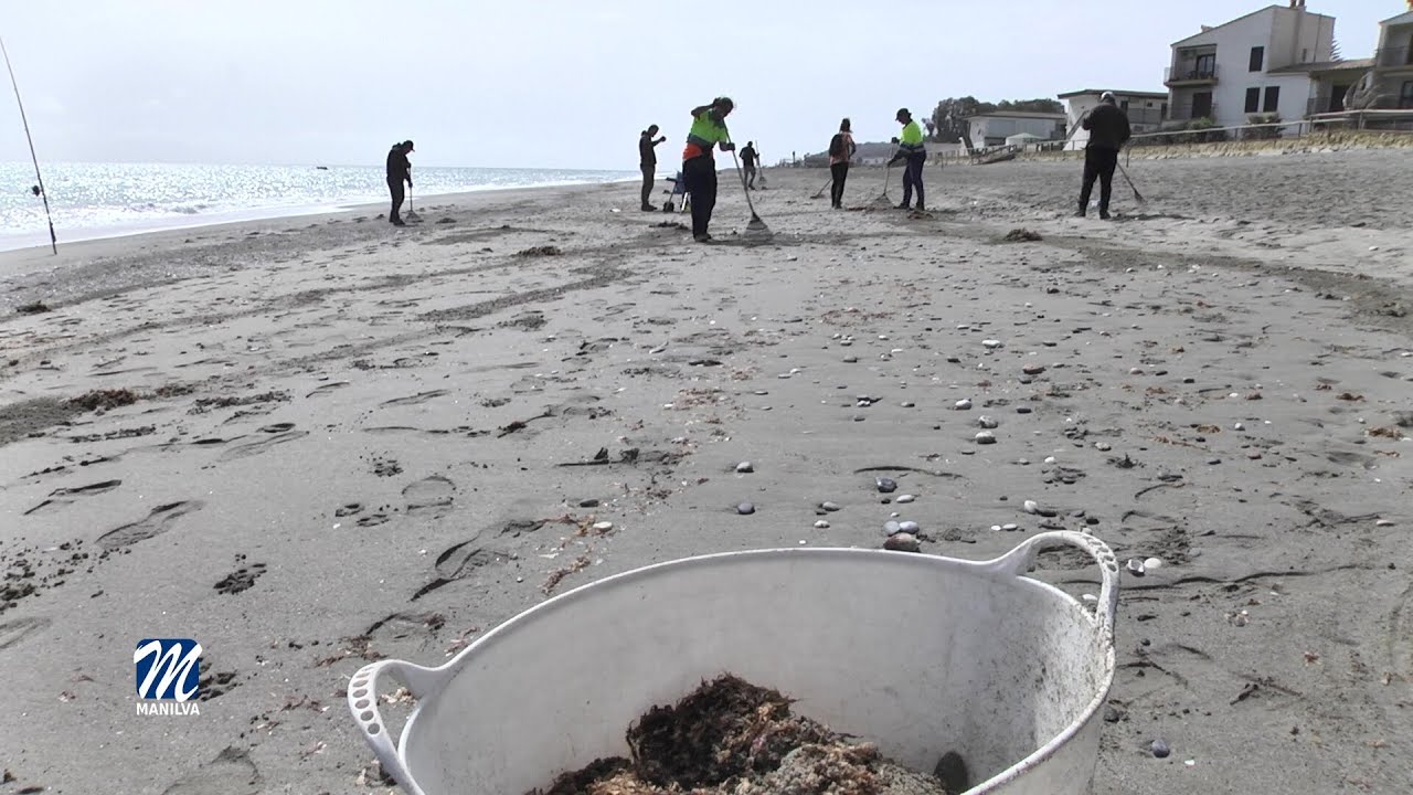 Limpieza de playas para preservar nuestro medio natural