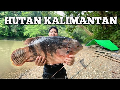 Camping Hujan deras 1 Minggu di Hutan Kalimantan Bertahan hidup cuaca buruk Fishing Camp Bushcraft