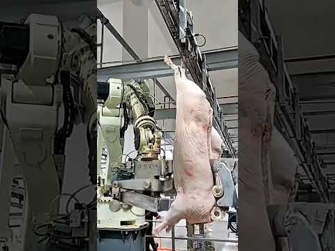 The Most Amazing Machine You’ve Never Seen!
