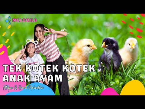 🔴 LAGU TEK KOTEK KOTEK ANAK AYAM - Lagu Anak Anak | Lagu Anak Indonesia Afika Salma & Hana Melodila