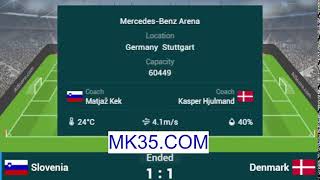 EURO 2024 : SLOVENIA VS DENMARK