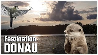 Abenteuer in der Natur 🙏 - Die Erkundung der Donau (Teil 1)