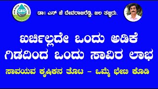 ಖರ್ಚಿಲ್ಲದೆ ಒಂದು ಅಡಿಕೆ ಗಿಡದಿಂದ ಒಂದು ಸಾವಿರ ಲಾಭ ಸಾವಯುವ ಕೃಷಿ , ಒಮ್ಮೆ ವೀಡಿಯೊ ನೋಡಿ ...!!#farming