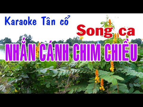 Karaoke tân cổ NHẮN CÁNH KIM CHIỀU – SONG CA [Kim Tử Long – Ngân Huệ]