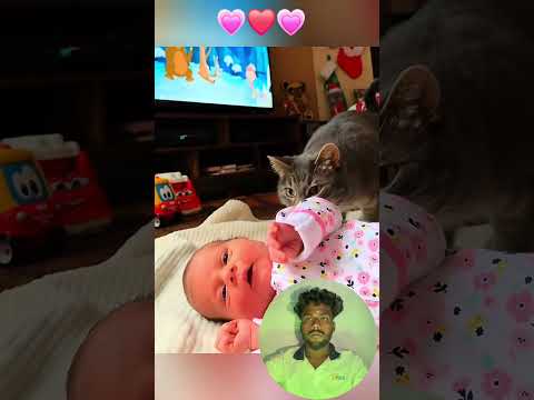 Cute stories about babies and cat ❤️#cute #animals #foryou #typAdjust#pet #cat #dog
