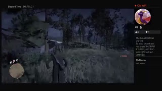 Red dead redemption 2 online