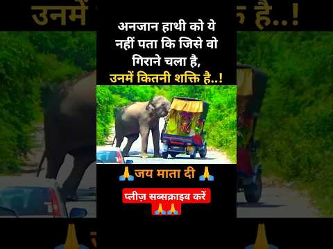 God vs wild elephant #goodmorning  #shortvideos #knowledge #motivation #shortsfeed #sachibate #live