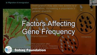 Factors Affecting Gene Frequency