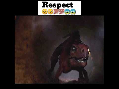 Respect