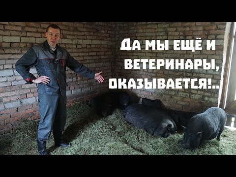 Находим серебро , обновляем хозяйство и проводим хирургические операции!