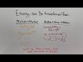 Energy Types and Conservation Principles