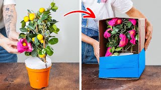 🌱 ХАКИ ПО ВЫРАЩИВАНИЮ РАСТЕНИЙ ДЛЯ НАЧИНАЮЩИХ! Простые советы, которые действительно работают 🪴✨