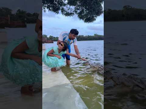 ছোট্ট মেয়ের সাহসী স্পর্শ 🐊 | ধলা পাহাড়ের সাথে ভালোবাসার মুহূর্ত #viralvideo #mehedihasantopu