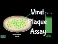 Viral Plaque Assay Concepts