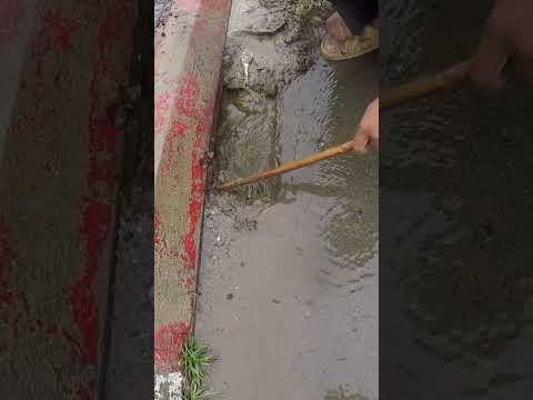 Land Full Clog Drain #culvert #unclog #drain #shorts