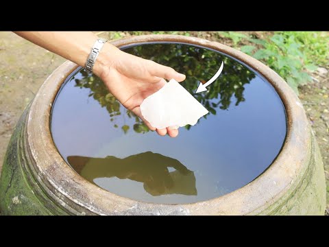 Thí Nghiệm Lọc Nước Ở Vùng Nông Thôn