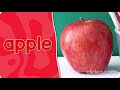 Fruit Identification and Themes
