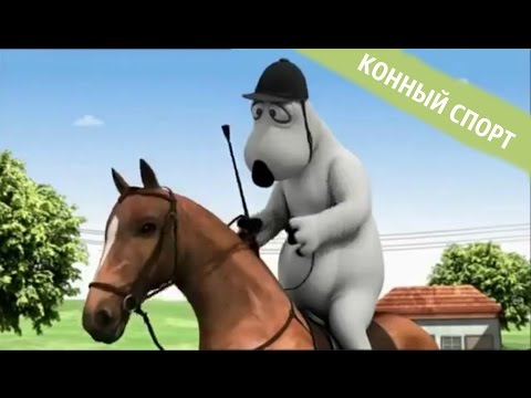 БЕРНАРД: Конный спорт
