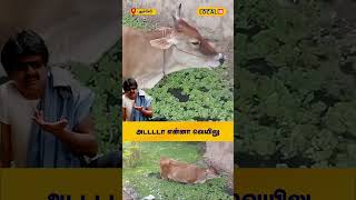 அடடடடா என்னா வெயிலு | #local18