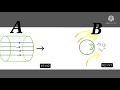 Understanding the Transcript