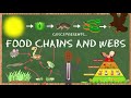 Exploring Food Chains and Energy Flow in Ecosystems