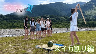 たかねこの夏〜みんなでスイカ割り〜