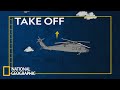 Helicopter Science and Leonardo da Vinci