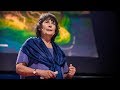 Environmental Impact of the Mississippi River