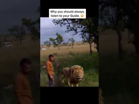 Why you should always listen to your Guide #memes