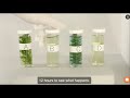 Exploring Matter and Energy in Ecosystems