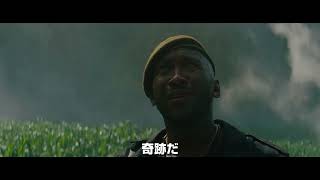 映画『ジュラシック・ワールド／復活の大地』予告編