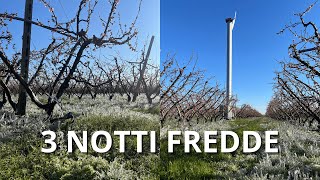 CERCHIAMO di SALVARE il RACCOLTO ❄️ - Parte 1