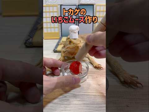 トカゲに邪魔されクッキング　〜イチゴムース編〜
