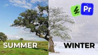 Weather Warp: Summer to Winter Transformation