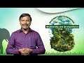 Biodiversity and Its Importance