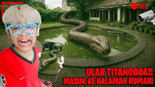 SERAM! ADA ULAR TITANOBOA GIGAS MASUK KERUMAH BOCIL!!!